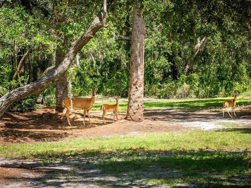 1245 MILL CREEK ROAD - Photo 54