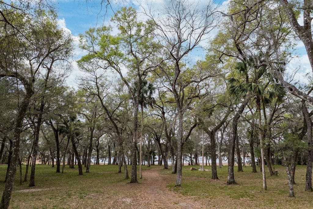 FOREST  02 ROAD - Photo 11