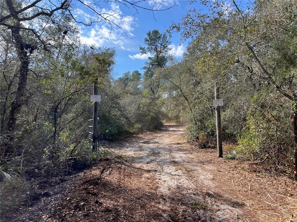 FOREST  02 ROAD - Photo 14