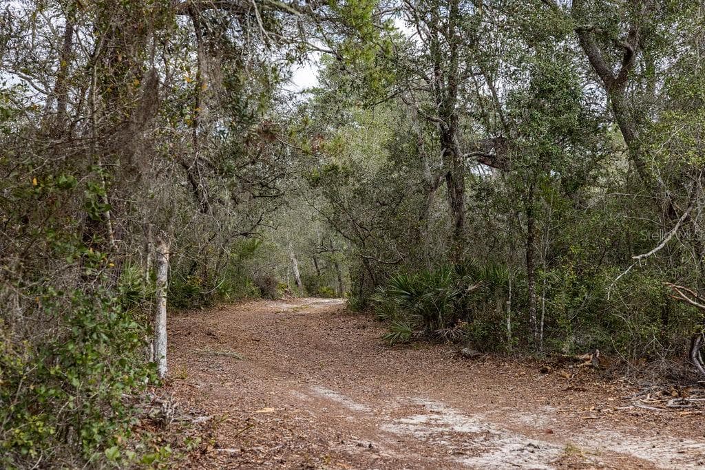 FOREST  02 ROAD - Photo 38