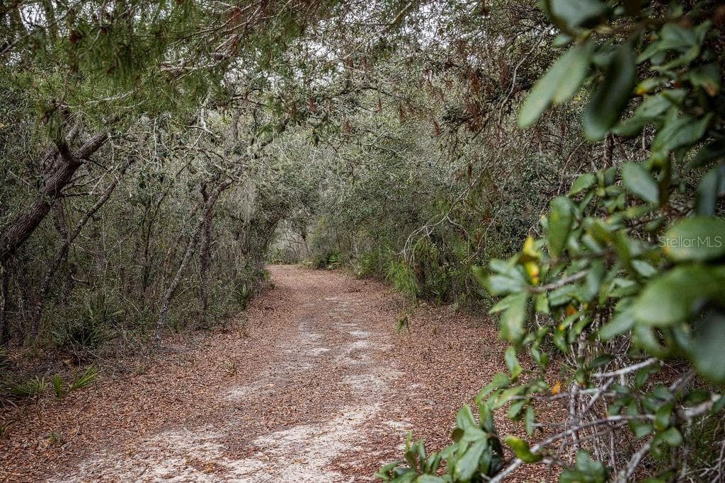 FOREST  02 ROAD - Photo 39