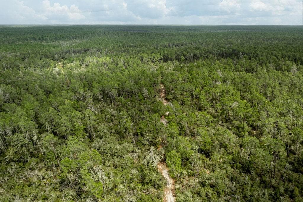 FOREST  02 ROAD - Photo 41