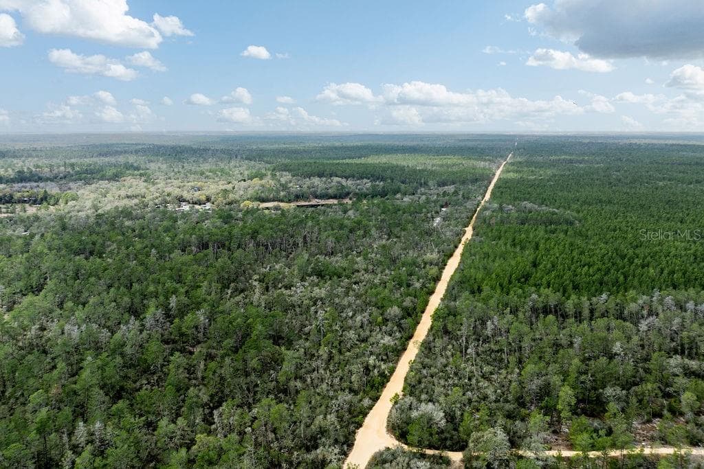 FOREST  02 ROAD - Photo 53