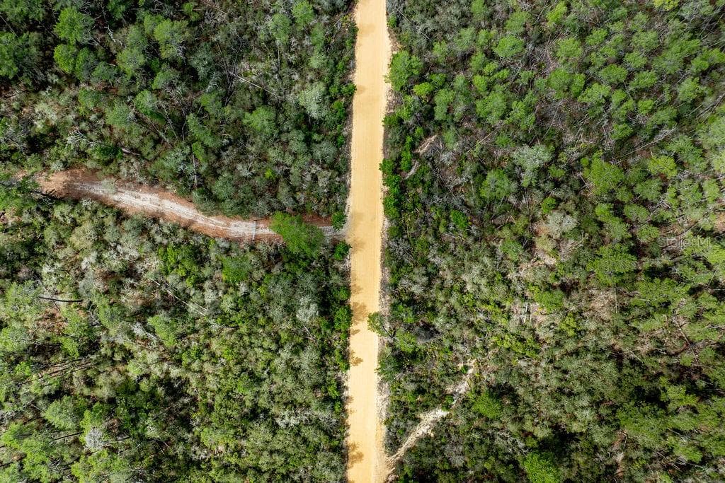 FOREST  02 ROAD - Photo 57