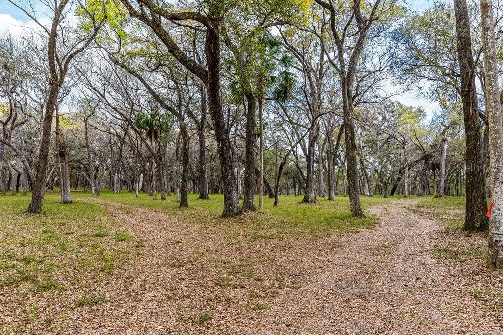 FOREST  02 ROAD - Photo 61