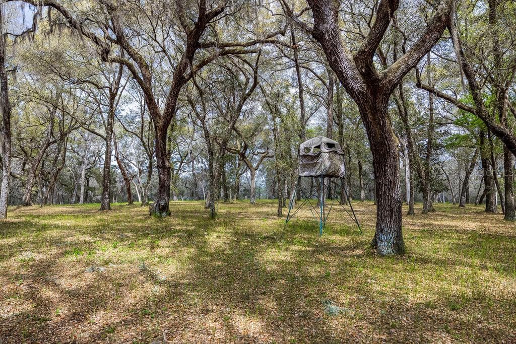 FOREST  02 ROAD - Photo 64