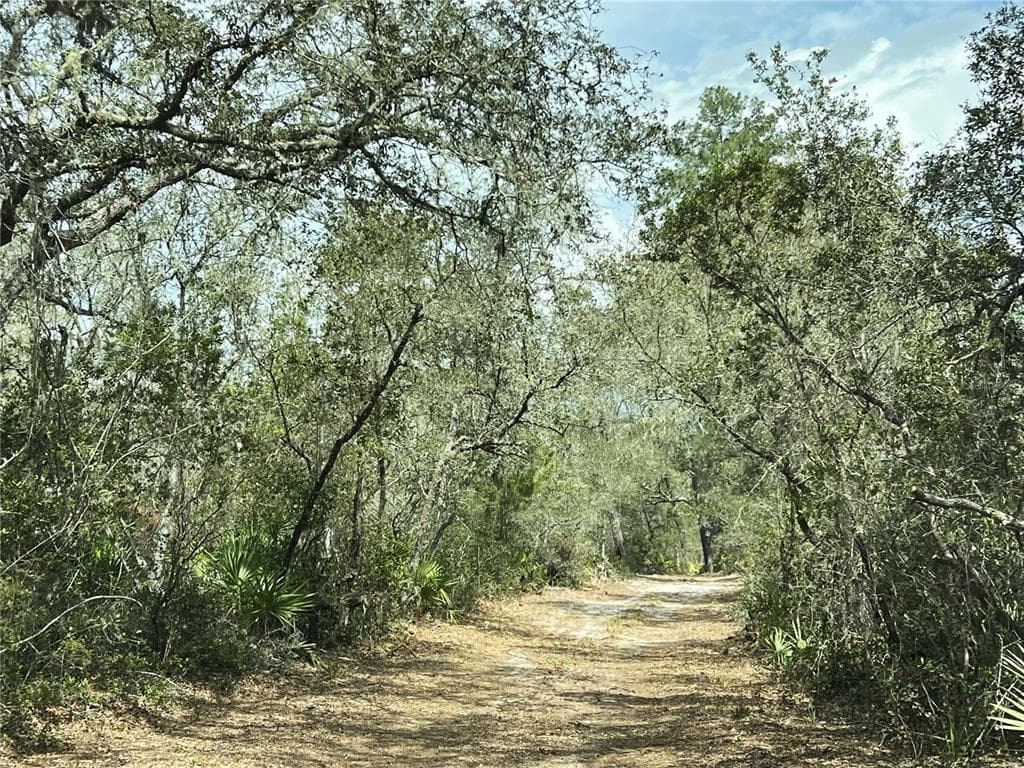 FOREST 02 ROAD - Photo 3
