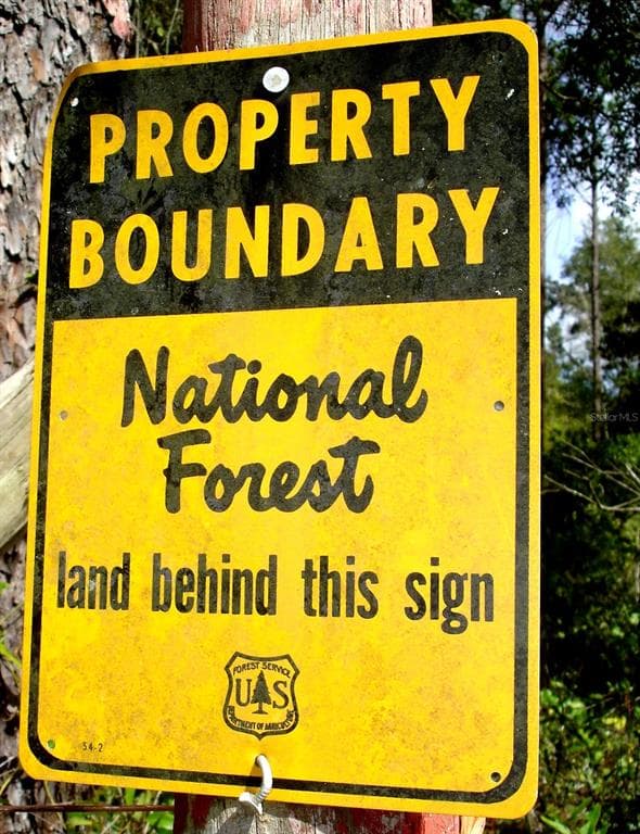 FOREST 02 ROAD - Photo 5